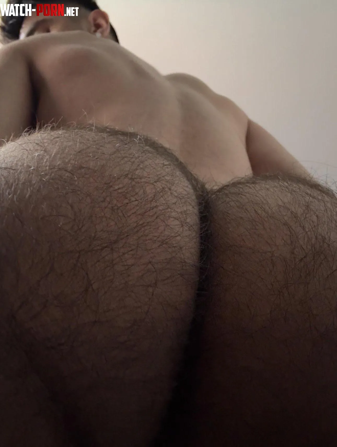 hairy Mexican butt by pputitooxxx