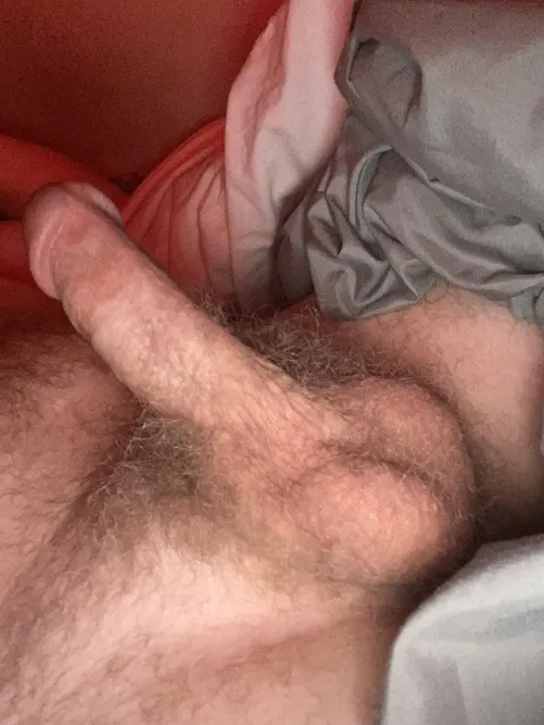 Thumbnail Hairy Delight: 28 Hairy Balls by Particular_Street222 | Balls Texture