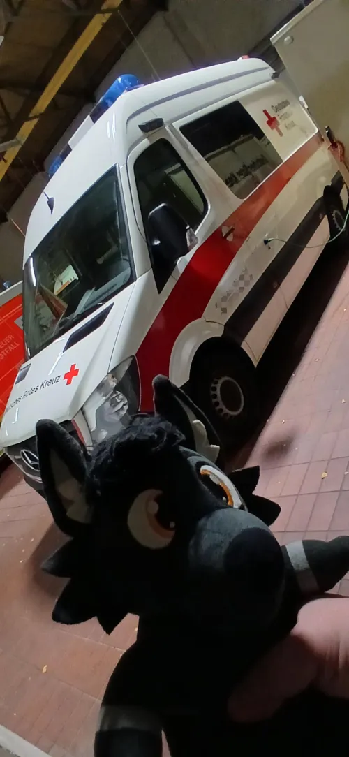 Thumbnail Furry Company on My Medic Shift: A Day with DocRainbowDash