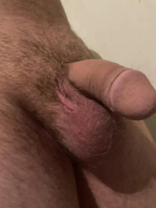 Thumbnail Enjoying the Look and Feel of My Balls 50 - Inside_Persimmon_990