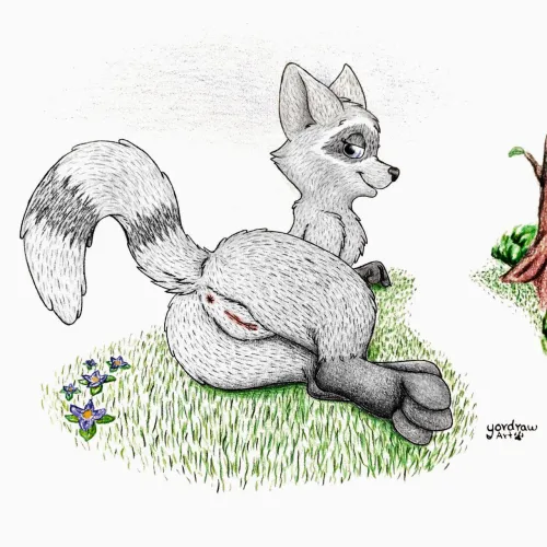 Thumbnail Yordraw's Raccoon Butt F by Yordraw in the Yiff Category