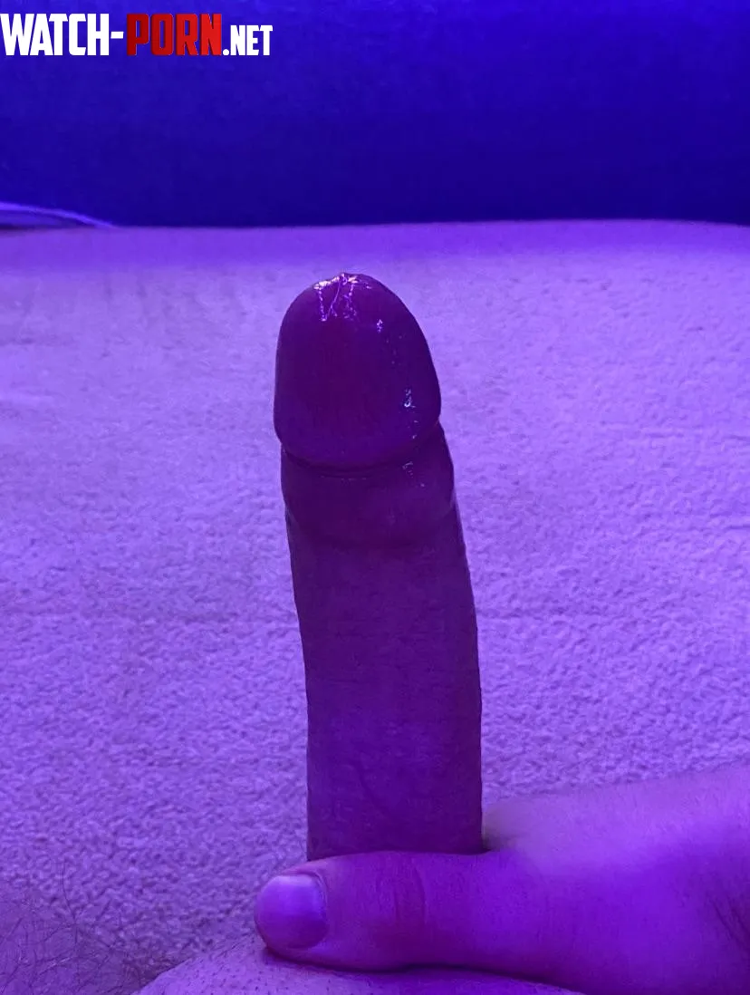 Wet dick 18 by Willing_Stretch1945