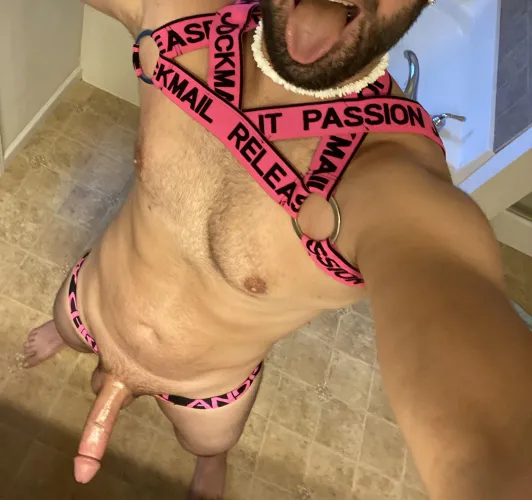 Thumbnail Harness Adventure: Ready for Excitement with bixfitstud