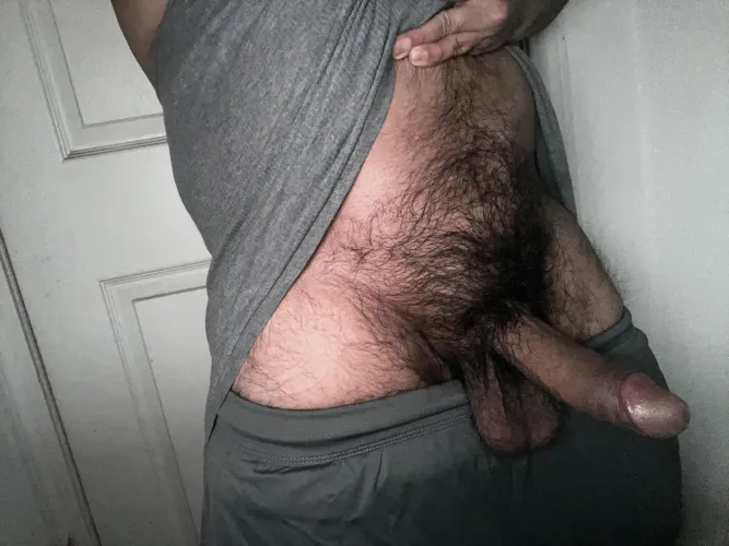 Thumbnail Hairy Challenges: UsefulGround3930 Questions on Appearance in ratemycock Category