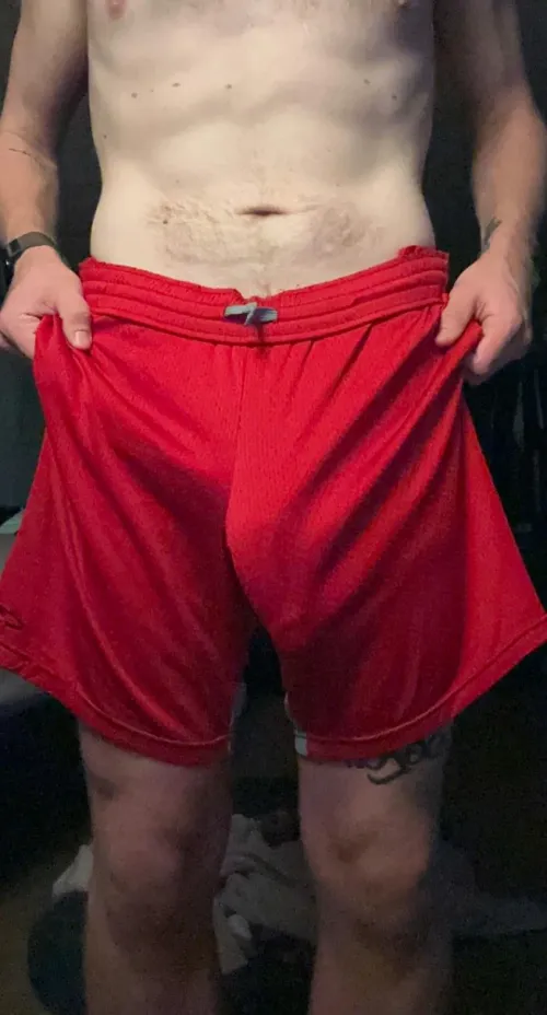 Thumbnail Wore These to the Gym Today 24: A Stylish Gym Session in the World of Bulges