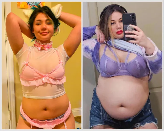 Thumbnail From Thicc Kitten to Fat Cat: CouchQueenie's wgbeforeafter Transformation Journey