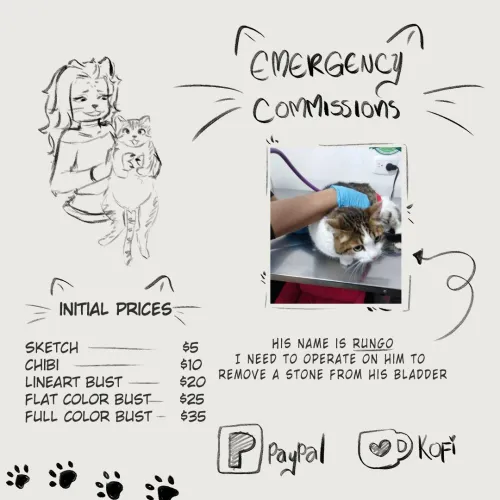 Thumbnail Urgent Request: Support Cat Surgery with yipsher03