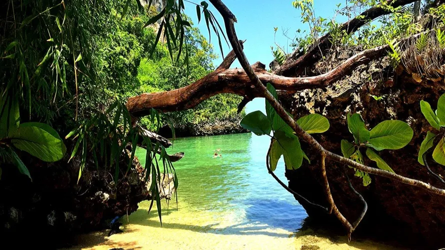 Thumbnail Natural Wonders: Exploring Wild Wai Chek Beach on Koh Chang | by _13sparrow