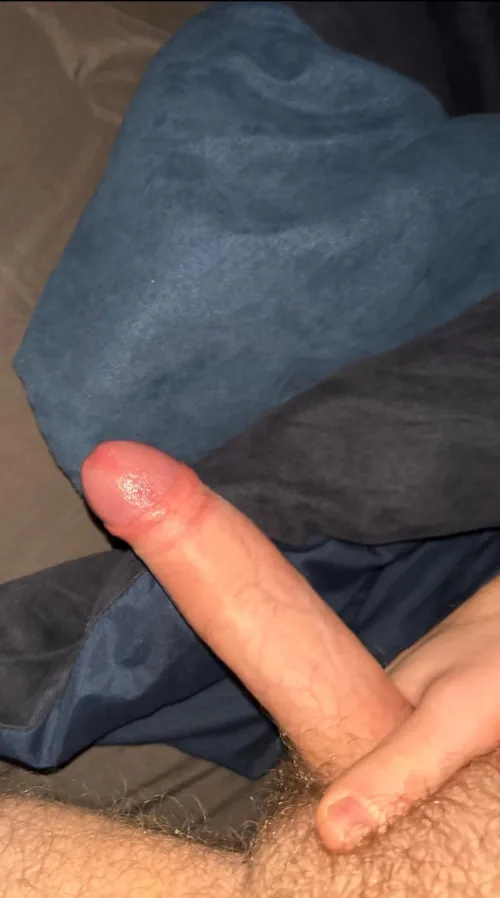 Thumbnail SkyMajor6859 Questions: Is My Dick Suckable at 18 in Penis Query