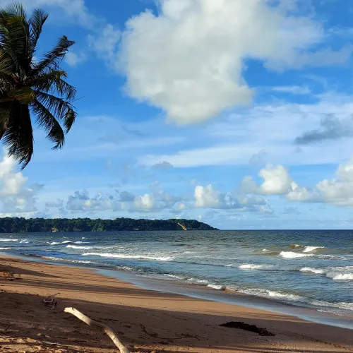 Thumbnail Discover the Beauty of Mayaro Beach in Trinidad | videshharrypaul