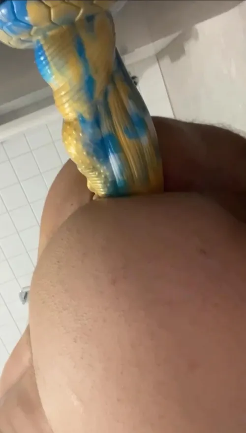 Thumbnail Bubble Butt Stretching: buserant's Dildo Exploration