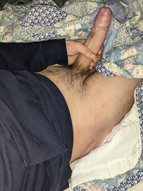 Thumbnail Which_Lawfulness_115 - Seeking Trim in Cold Weather | Foreskin Category