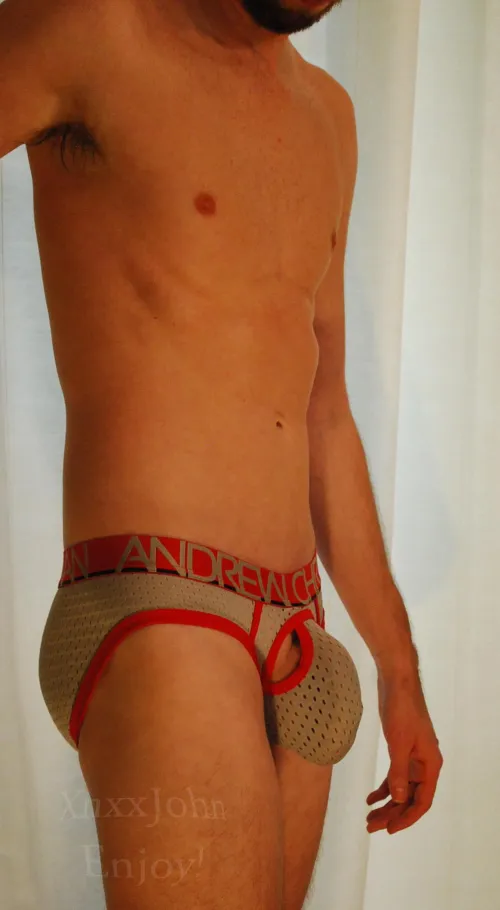 Thumbnail Showcasing Red and Gray Briefs: Bulging Style by xnxxjohn