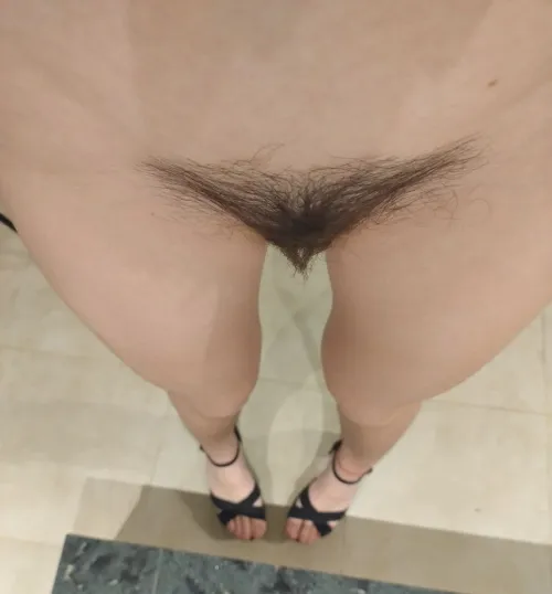 Thumbnail Juanitaxsdoll's Desire: New Cocks for the Bush