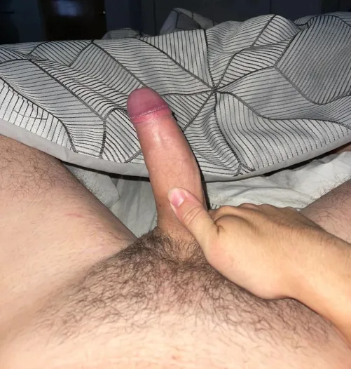 Thumbnail impressive_end8's Inquiry: Big enough for you at 24 in Foreskin