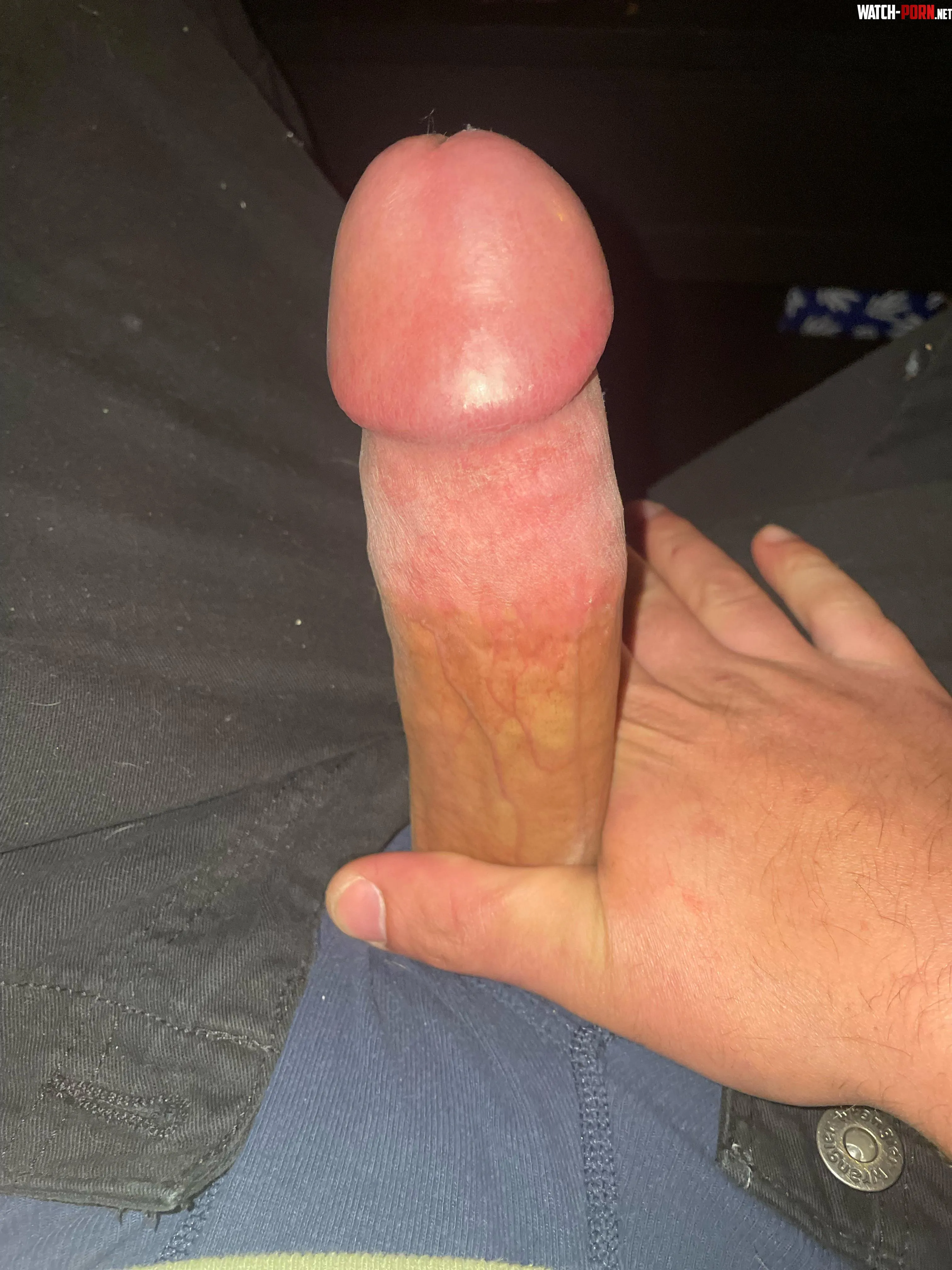 Smoking and getting hard looking at cocks dms open by monkey37D