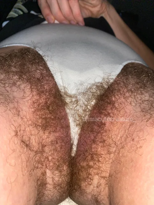 Thumbnail imacutecreature_'s Playful Gesture: Sit On Your Face Hehe in HairyCurvy