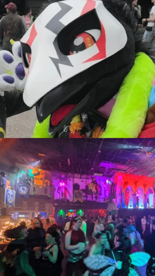 Thumbnail MaestroIgnitex's Vex Ventures to a Furry Night Nightclub | furry