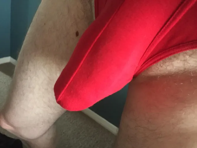 Thumbnail Dive into the Fascinating World of Bulges with Love a Briefs Bulge