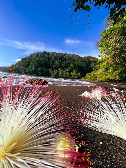 Thumbnail Experience Black Sand Beach in Tahiti - Enjoy Chnyief's Beach Paradise