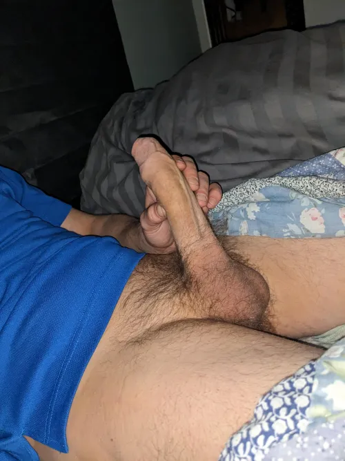 Thumbnail To Shave or Not to Shave: Foreskin Dilemmas by Which_Lawfulness_115