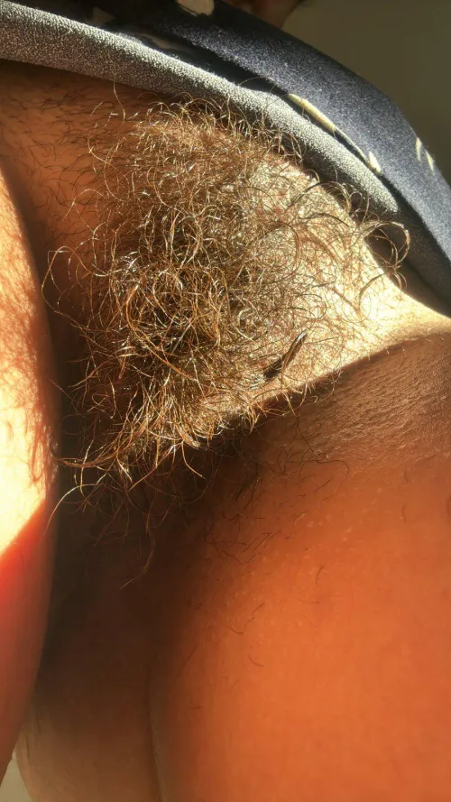 Thumbnail Morning Bliss: Sun-Kissed Bushes with lickedyslit in HairyPussy