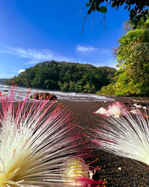 Thumbnail Discover the Serenity of Black Sand Beach in Tahiti