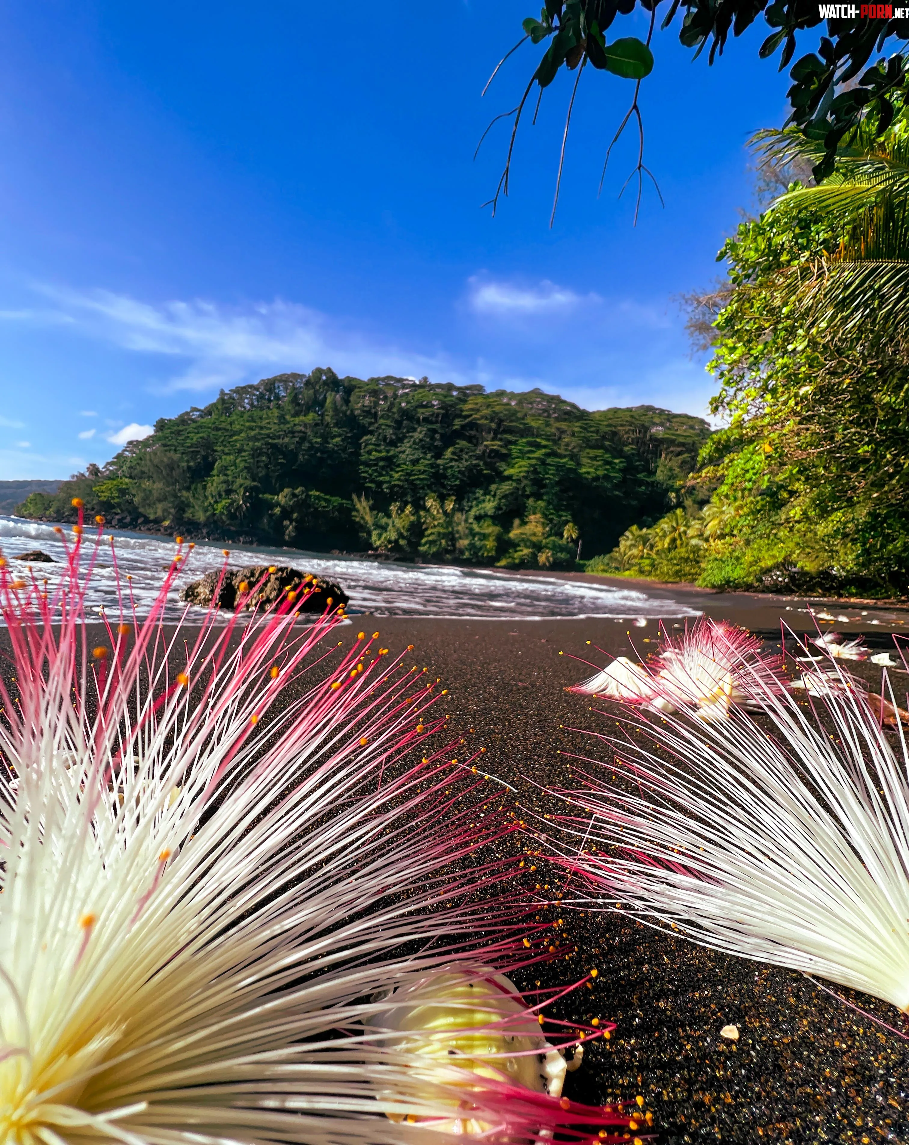 Black sand beach Tahiti  by chnyief