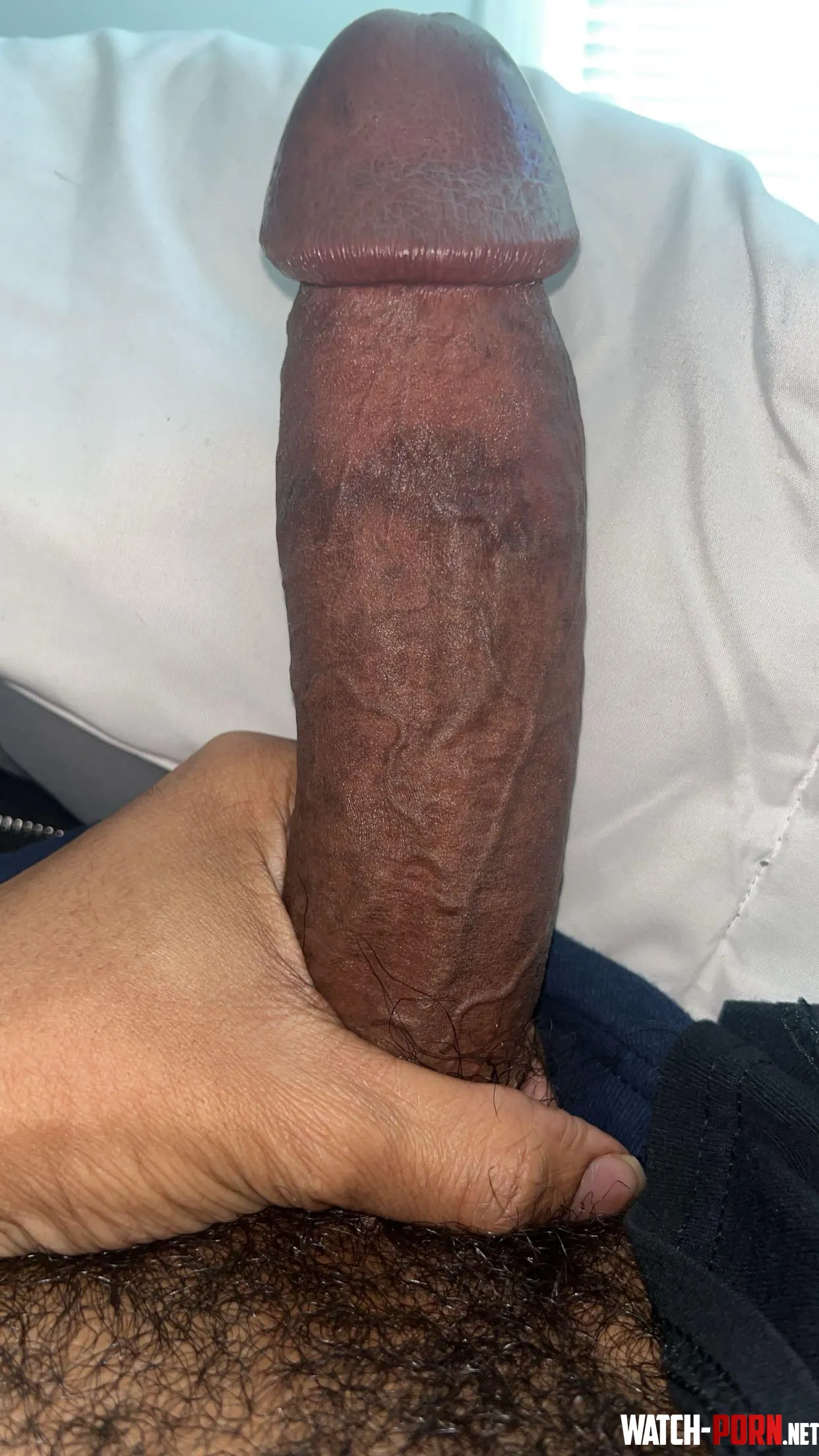 Thick long veiny black cock  by Able_Dig3858