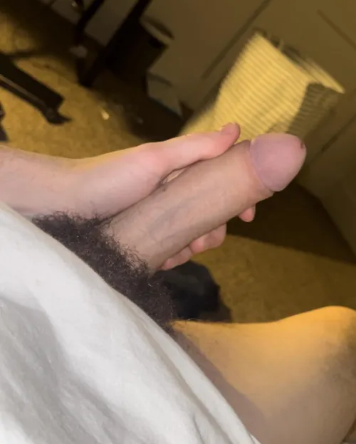 Thumbnail First Post Revelations: A New Beginning in ThickDick Exploration