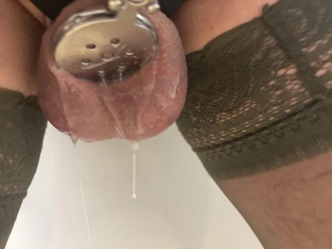 Thumbnail Desperate Desires: Embarking on a Sissy Chastity Journey | needstobecaged