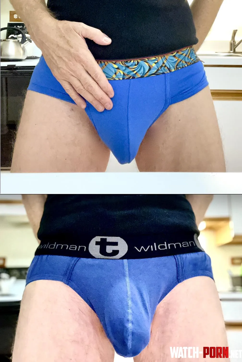 Blue Krakatoa Briefs Blue WildmanT Briefs by shyishguyish