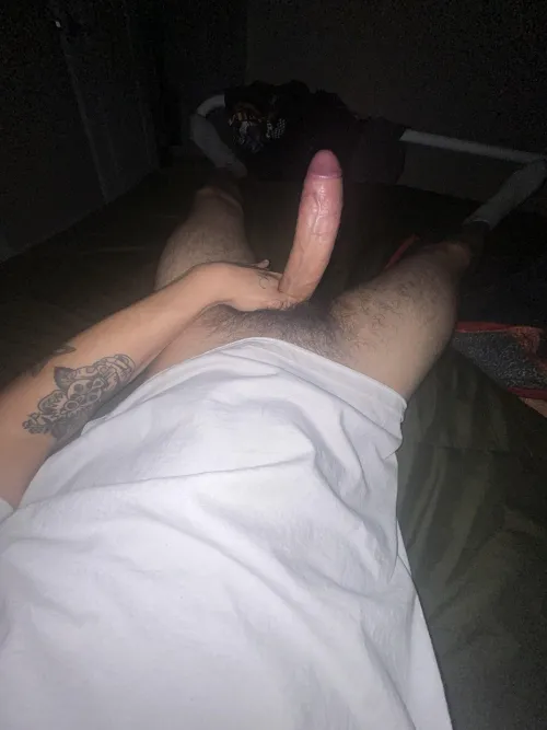 Thumbnail In Need of Someone Who Can Take It: A Journey in the ratemycock Realm