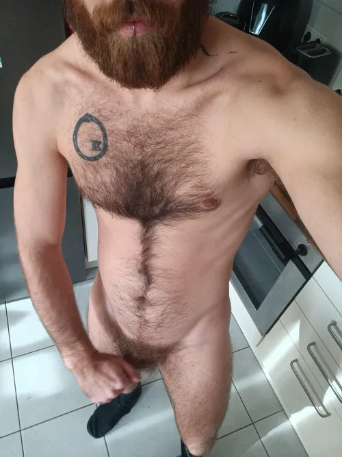 Thumbnail DomAlphaCock: Your Big Hairy Stud Bro in broslikeus