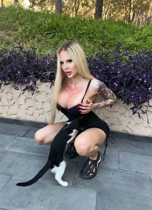 Thumbnail How Many Cats by RussianBarbieTop | Uncover SexyButNotPorn