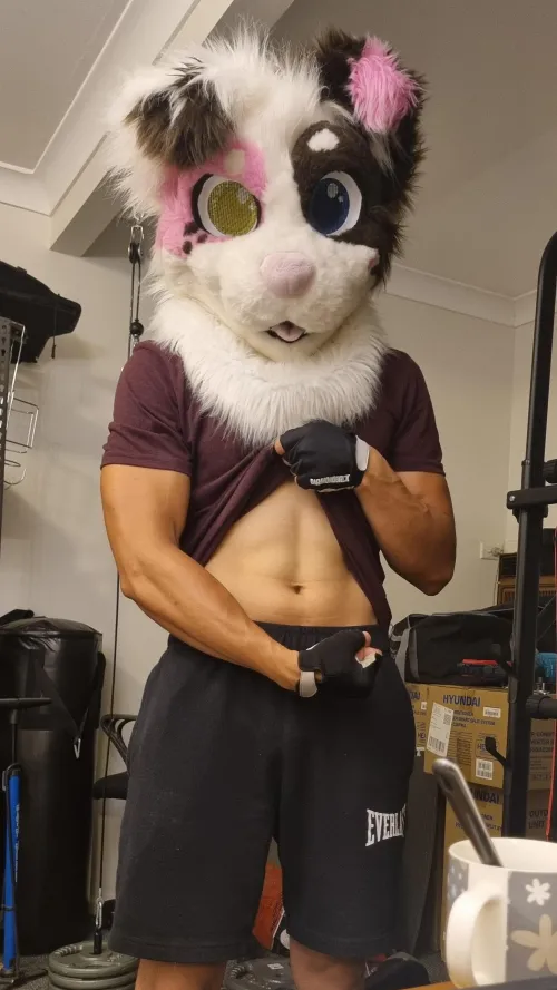 Thumbnail Furry: Sculpting Abs - Starting to see abs again 3