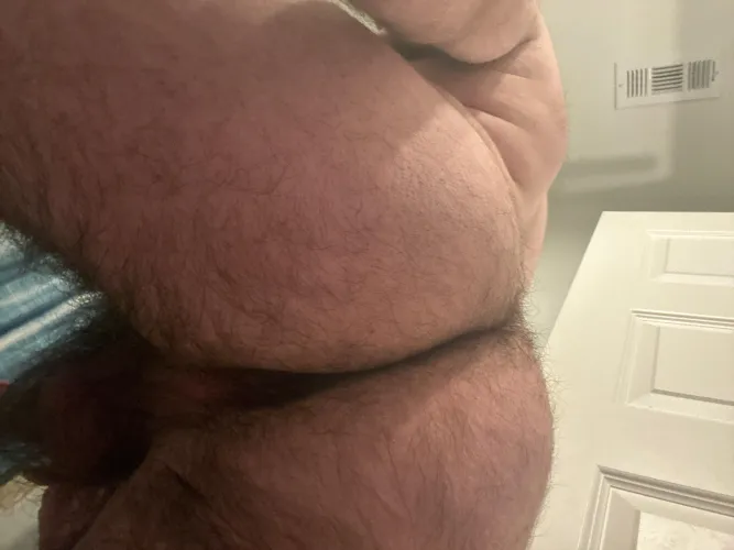 Thumbnail AfternoonSensitive36 Provokes with Would You Eat My Ass in insanelyhairymen Realm