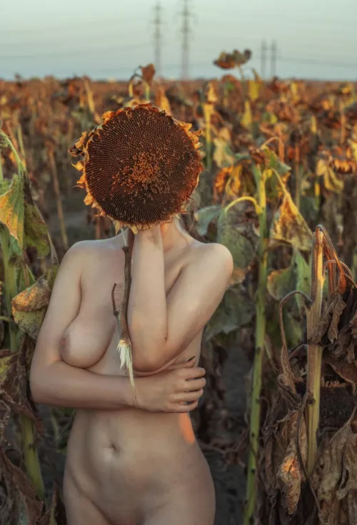 Thumbnail Naked Field Walk: A Classy Sexy Rendezvous