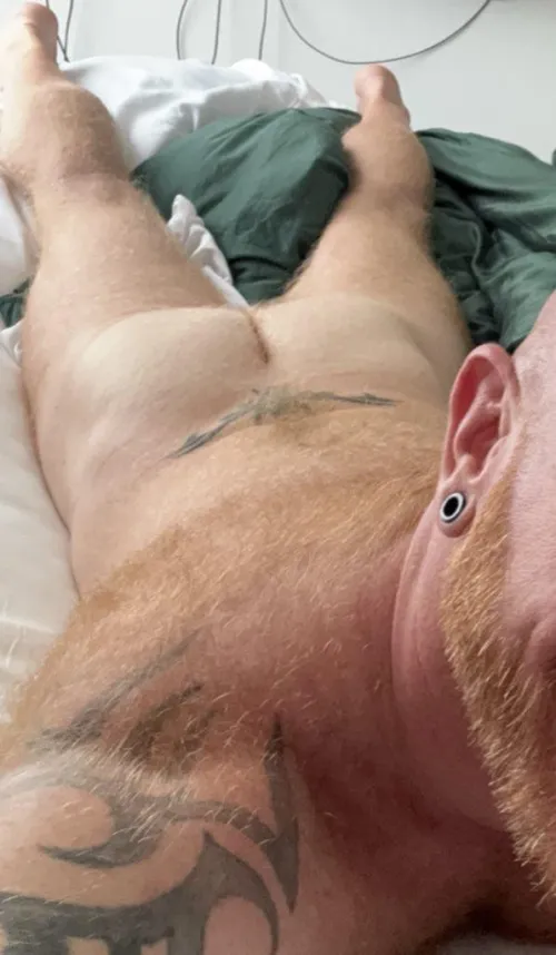 Thumbnail NoRepresentative4928: Ginger Fur Full Body Coverage | insanelyhairymen