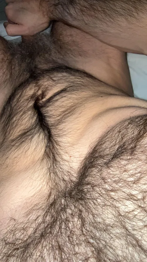 Thumbnail Embrace the Hairy Allure witheffinhairy Follow from Dull-Investigator-85