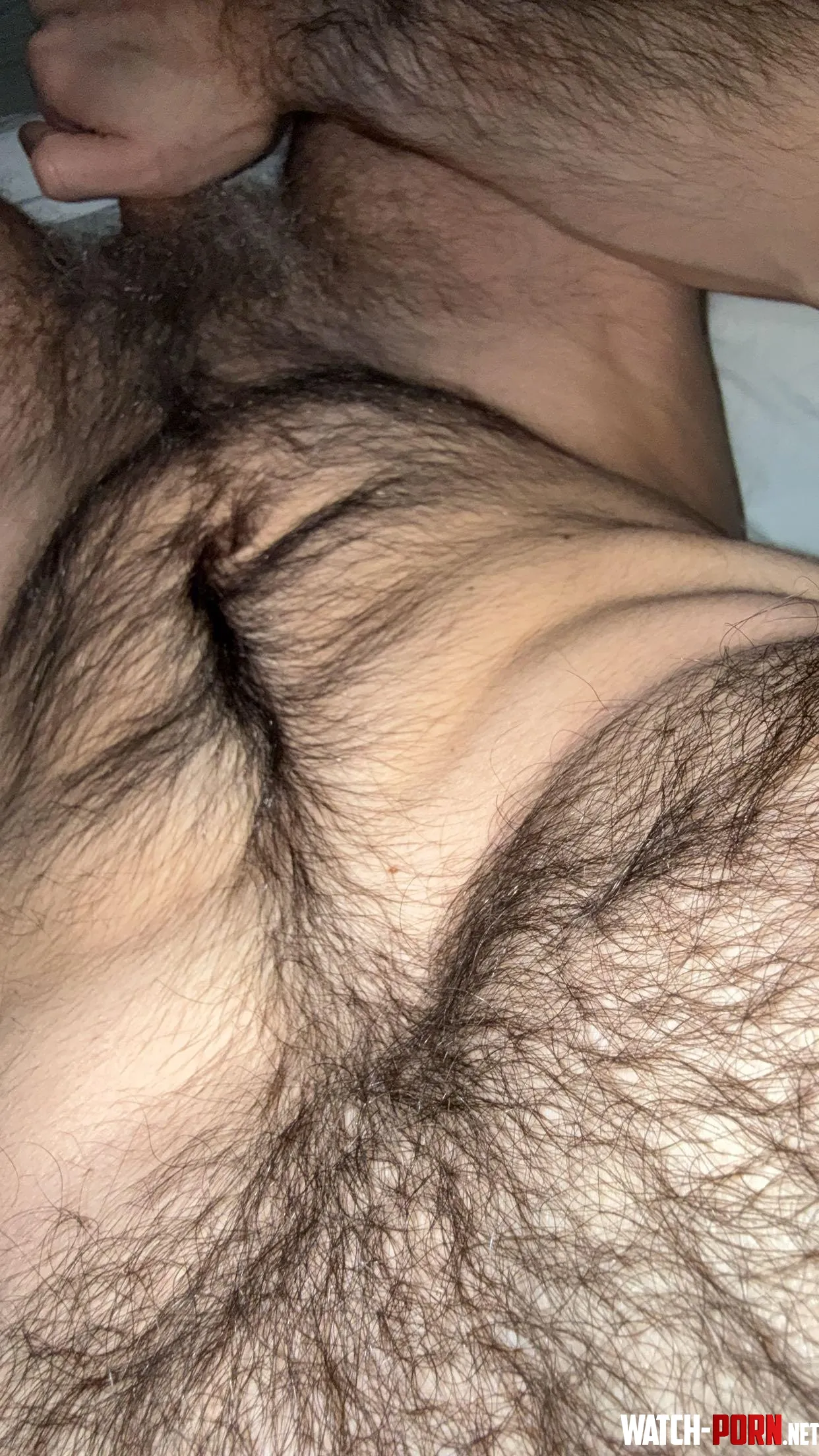 If you like em hairy give me a follow on X effinhairy  by Dull-Investigator-85