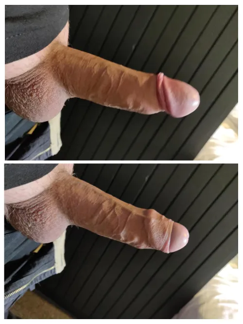 Thumbnail Veiny with a Pronounced Tip - Exploring Cock | whatwhatpirate