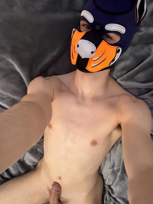 Thumbnail Jake_Taro Asks: Do I Look Like a Good Boy in petplay