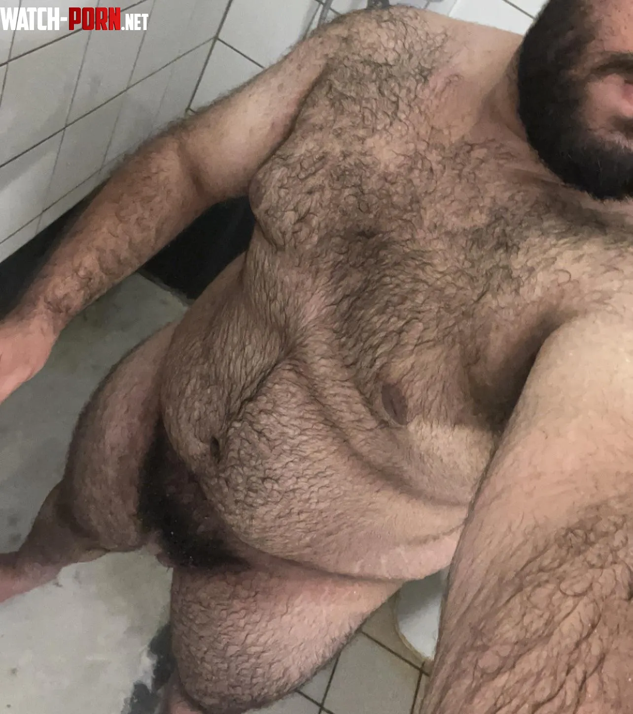 21 hairy bottom bear searching for a boyfriend by MelAelZel