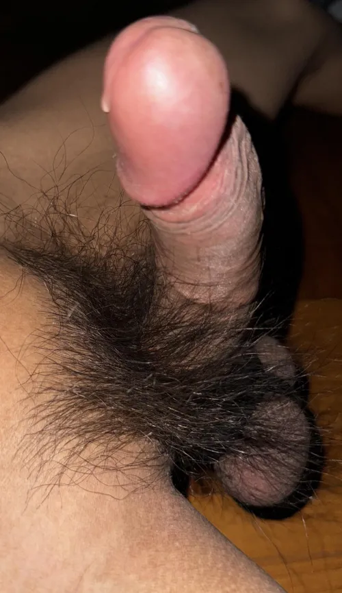 Thumbnail Rating Asian Delights: An Engaging Inquiry by Shoddy_Slip_1128 in ratemycock