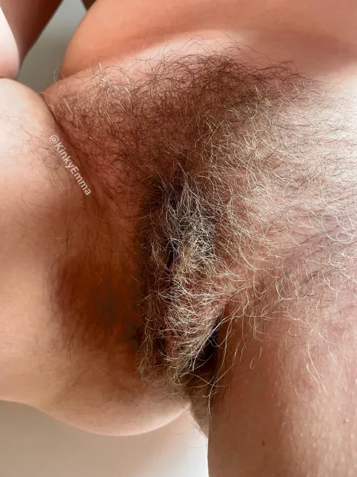 Thumbnail Stroking Big Bush Against Your Face by Kinkyemma00 | Hairy Category