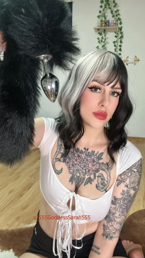 Thumbnail OnlyFansHottest: Discover 'Whos gonna be my kitty' by 555GoddessSarah555