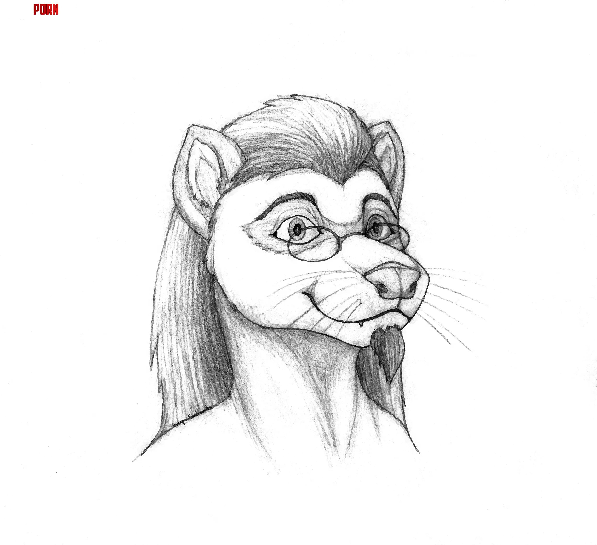 Skylor the ferret gift sketch for a friend my art by YinepuS