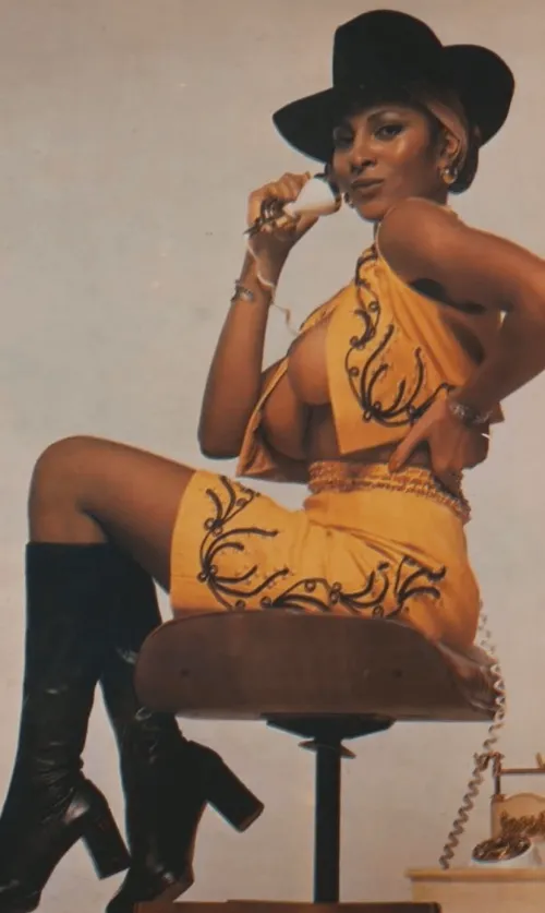 Thumbnail Iconic Pam Grier: Timeless Sensuality