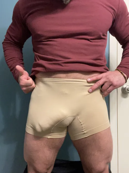 Thumbnail Horsecock in Wifes Panties Description by AmericanMuscleCock - Bulges Category